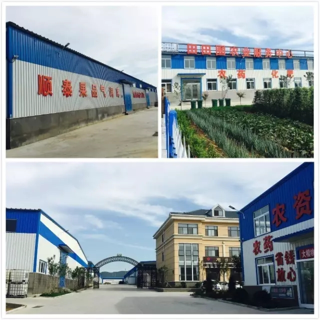 山東煙臺順泰植保科技有限公司