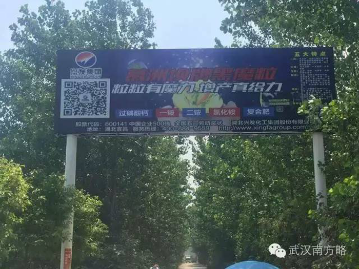 黑魔粒復合肥廣告 黑魔粒復合肥廣告