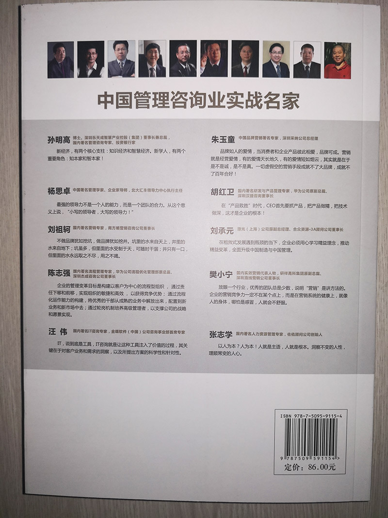 中國管理咨詢業實戰名家背面
