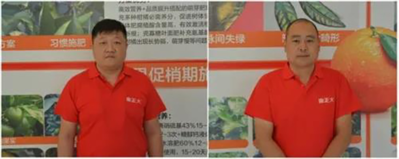 金正大代理商 金正大代理商