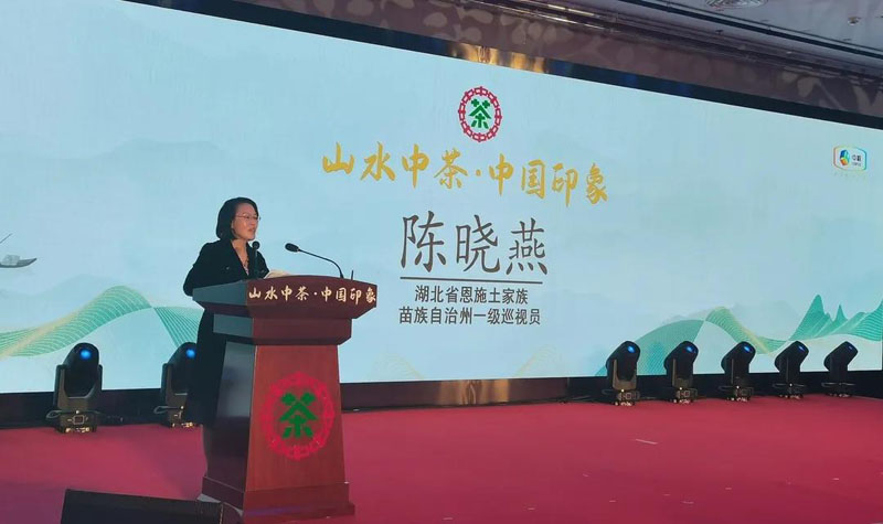 恩施州一級巡視員陳曉燕致辭 恩施州一級巡視員陳曉燕致辭